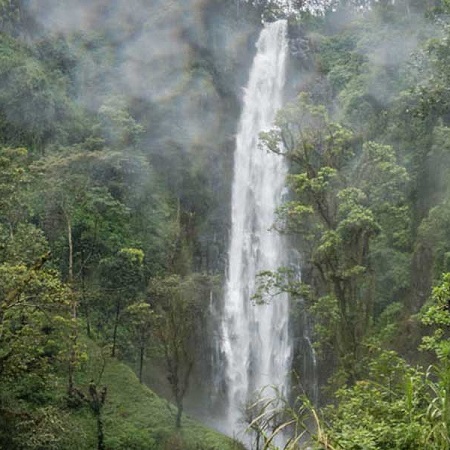 Materuni waterfalls Day Trip